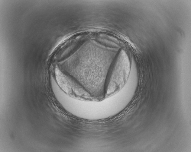 X0000115371256200912011126