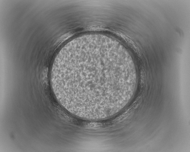 X0000115371265200912011126