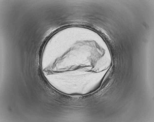 X0000115371267200912011126