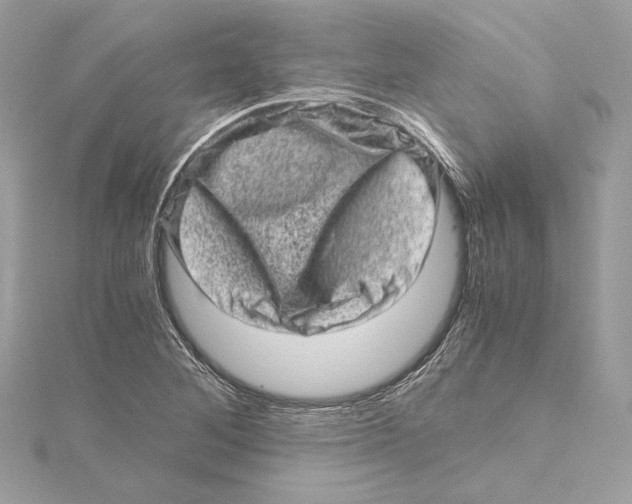 X0000115371268200912011126