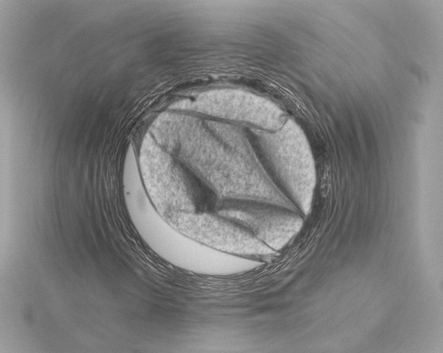 X0000115371298200912011125