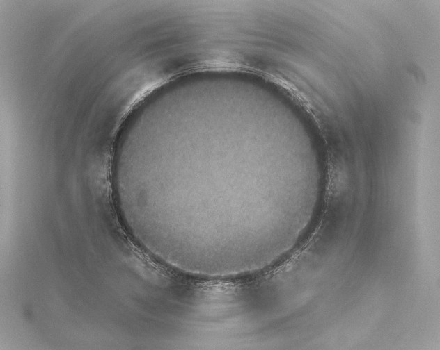 X0000115371314200912011125