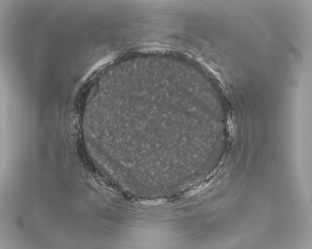 X0000115371351200912011125