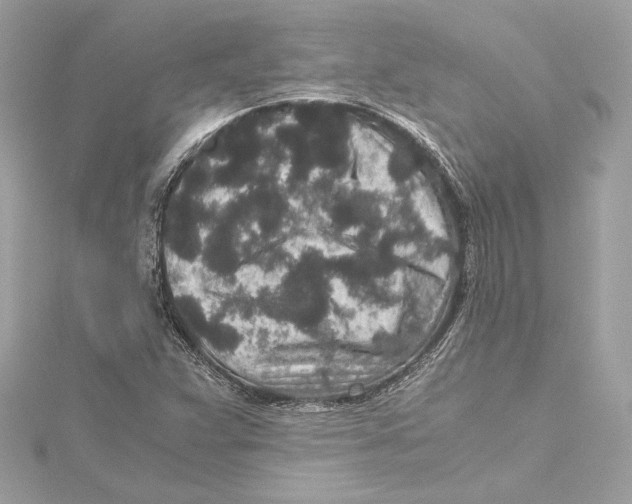 X0000115371359200912011125
