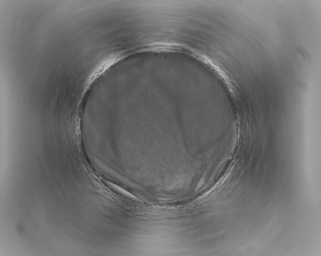 X0000115371362200912011125
