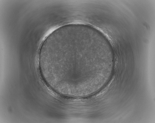 X0000115371367200912011125