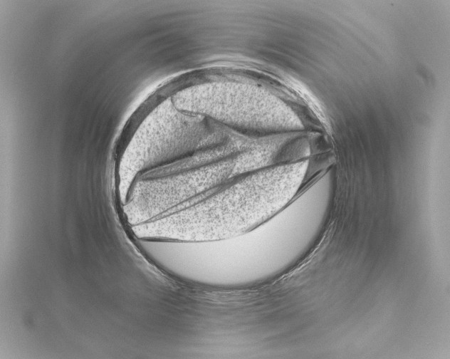 X0000115371376200912011125