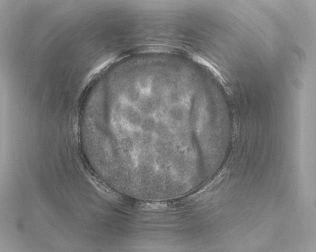 X0000115371403200912011124
