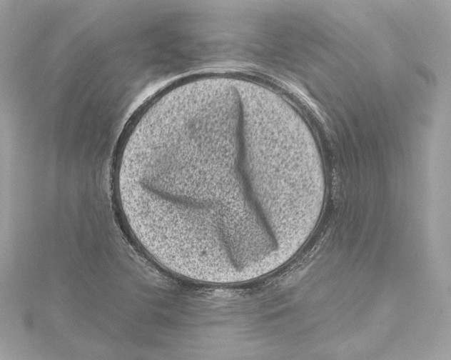 X0000115371412200912011124