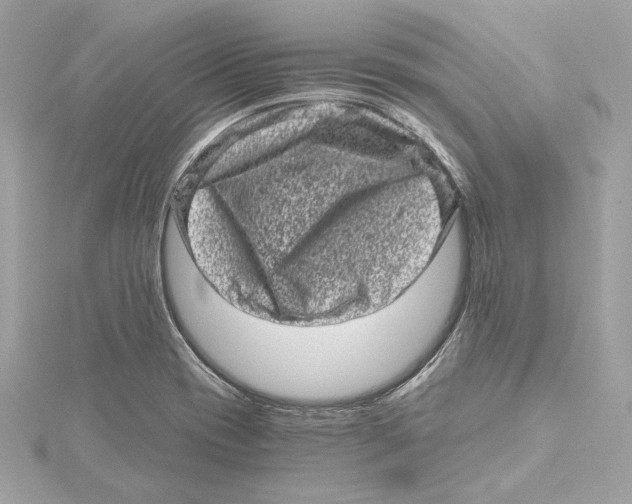 X0000115371417200912011124