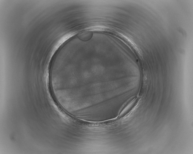 X0000115371418200912011124