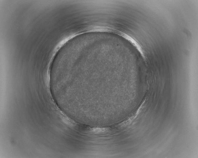 X0000115371419200912011124