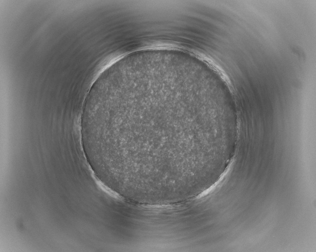 X0000115371425200912011124