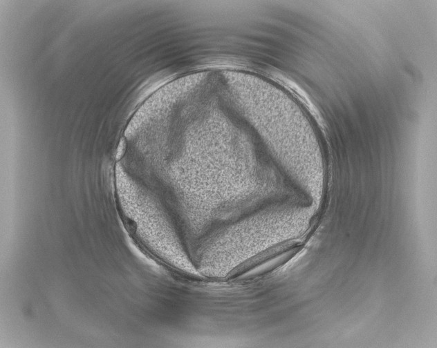 X0000115371433200912011124