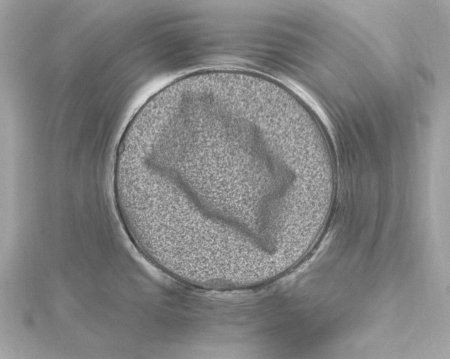 X0000115371437200912011124