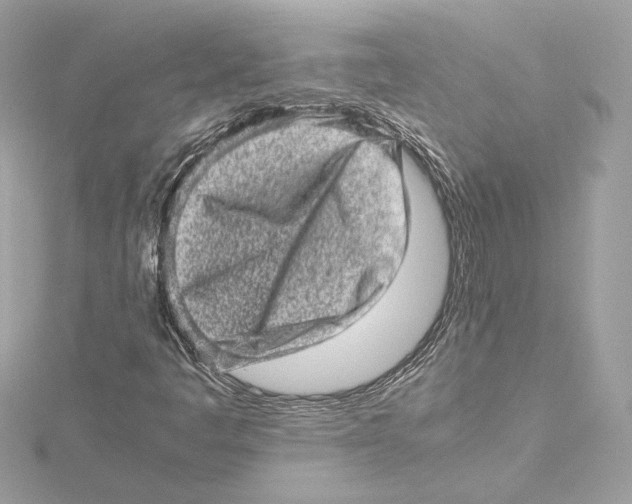 X0000115371445200912011124