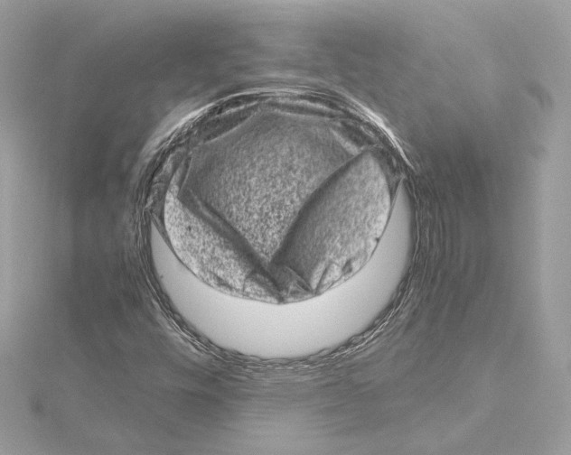 X0000115371448200912011124