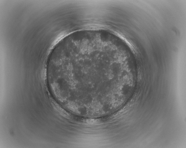 X0000115371459200912011124