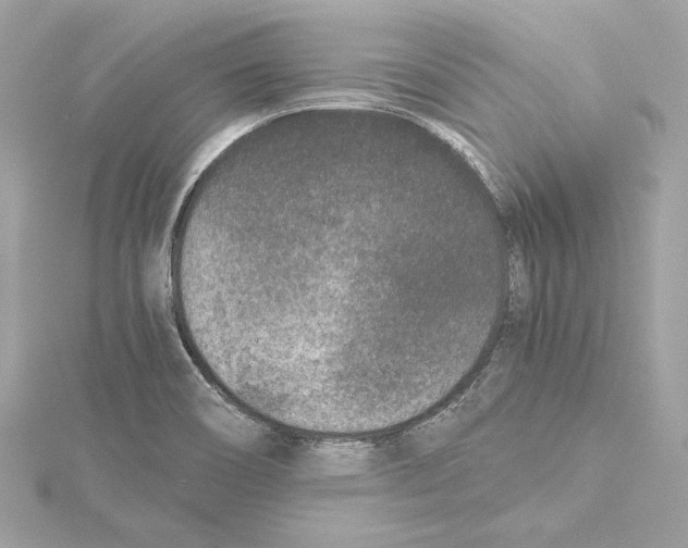 X0000115371466200912011124