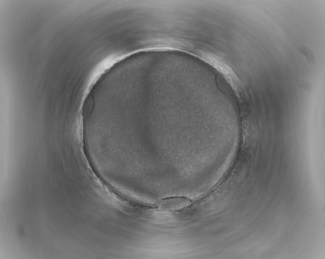 X0000115371472200912011123