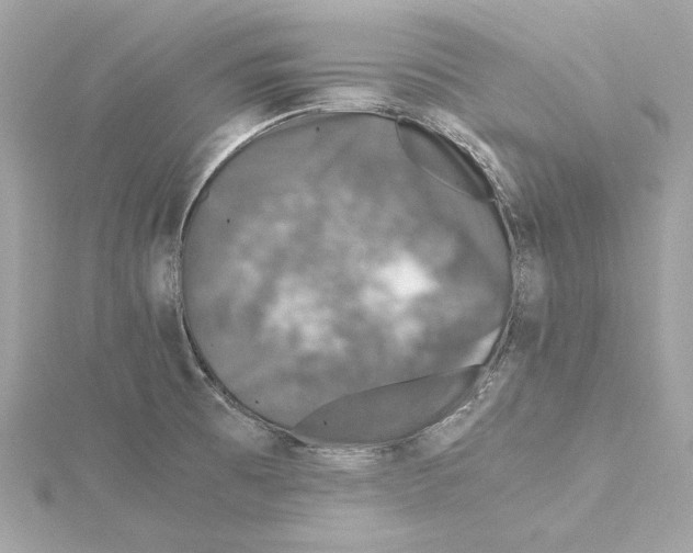 X0000115371473200912011123