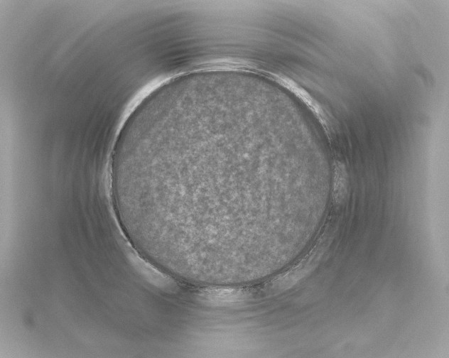 X0000115371474200912011123