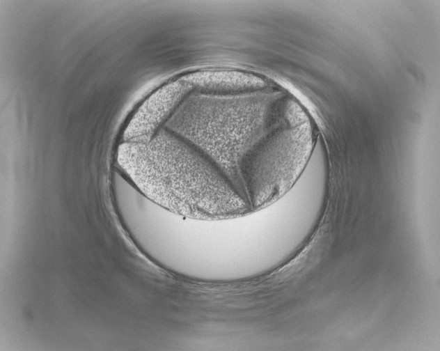 X0000115371477200912011123
