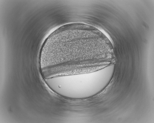 X0000115371485200912011123