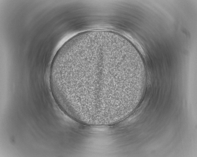 X0000115371486200912011123