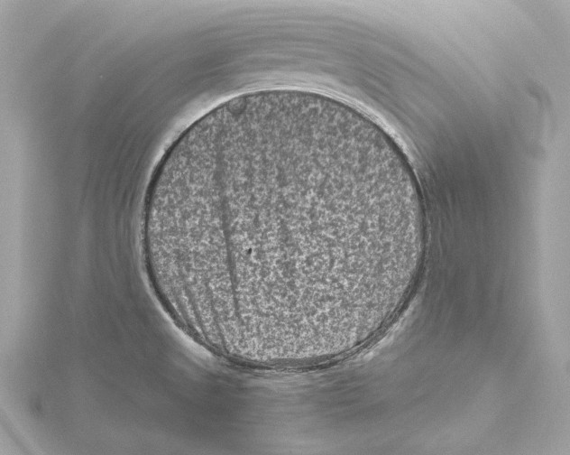 X0000115371525200912011123