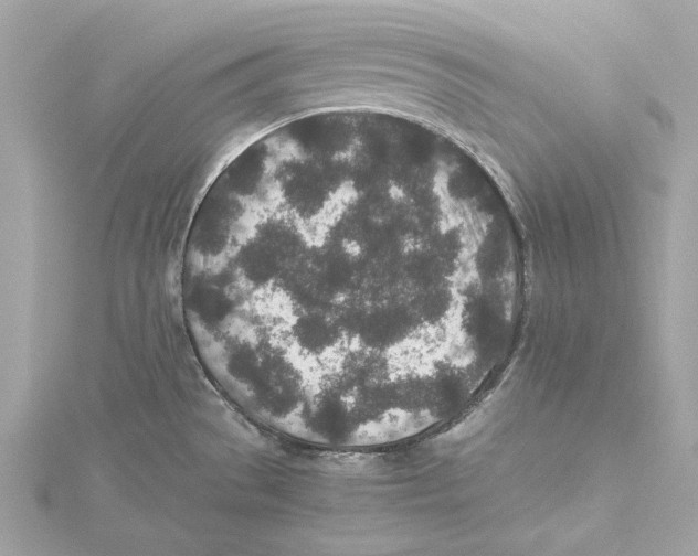 X0000115371529200912011123