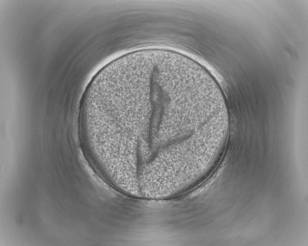 X0000115371534200912011123