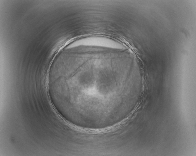 X0000115370002200912151428