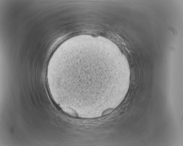 X0000115370003200912151428