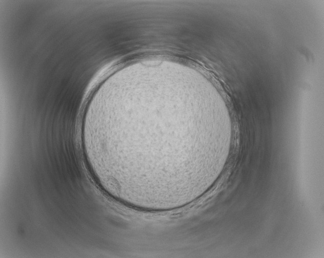 X0000115370004200912151428