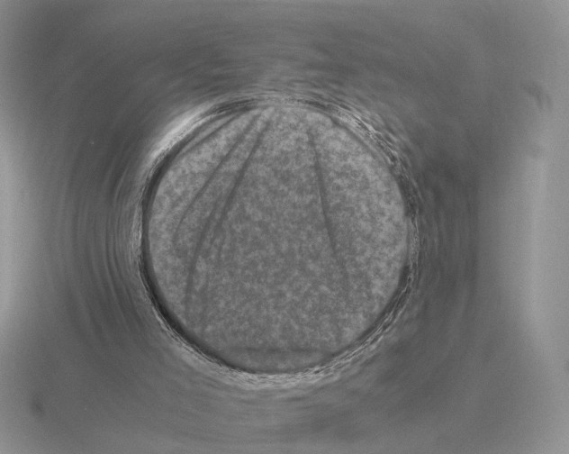 X0000115370005200912151428