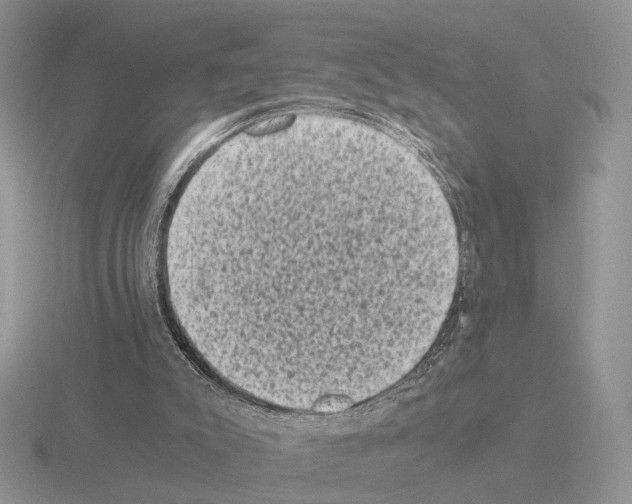 X0000115370007200912151428