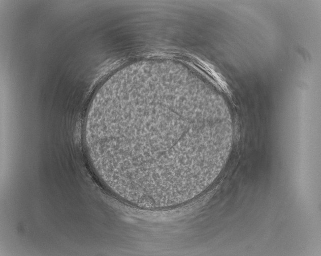 X0000115370010200912151428