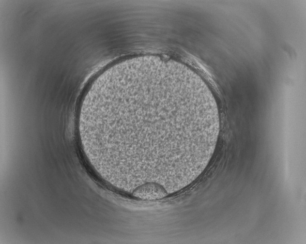 X0000115370012200912151428