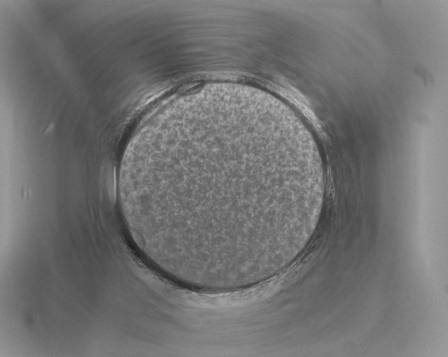 X0000115370013200912151428