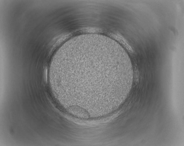 X0000115370014200912151428