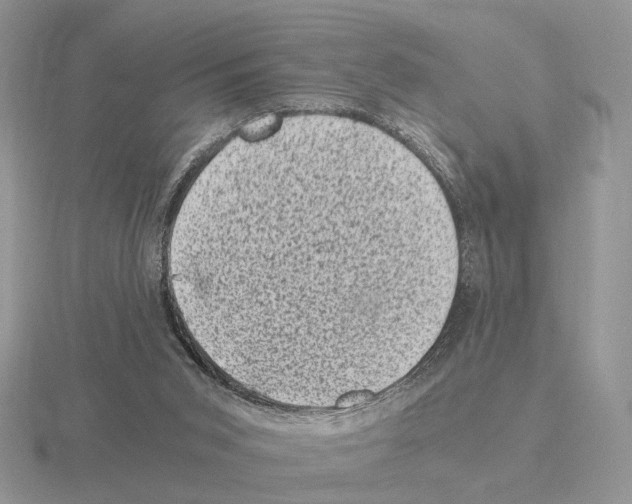 X0000115370015200912151428