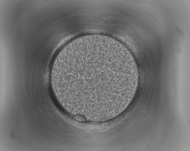 X0000115370016200912151428