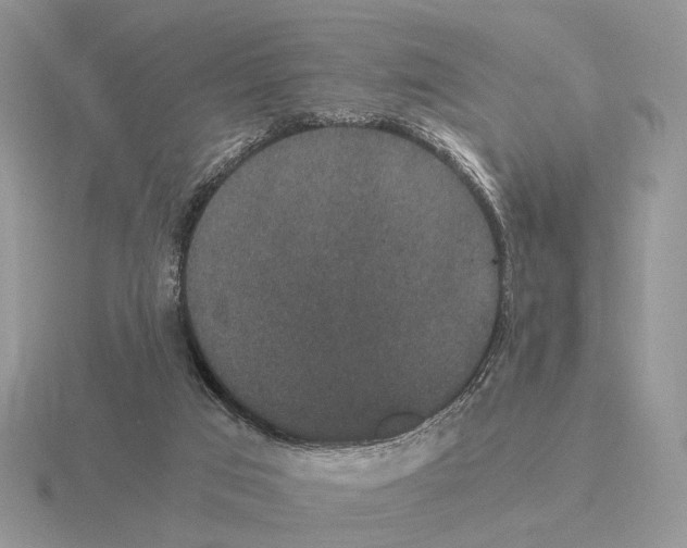 X0000115370017200912151428