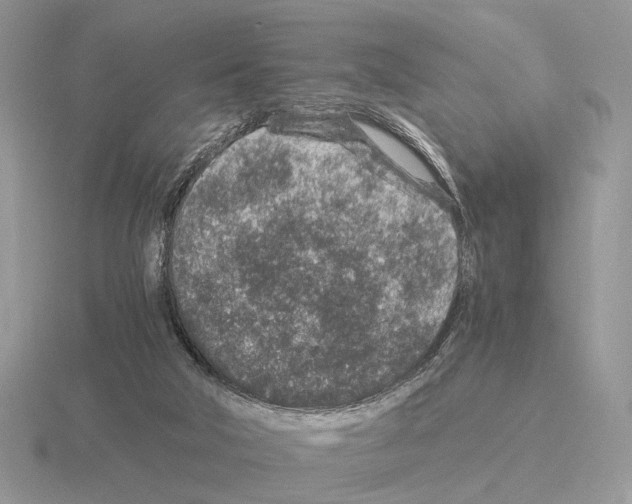 X0000115370018200912151428