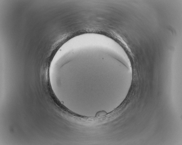 X0000115370019200912151428