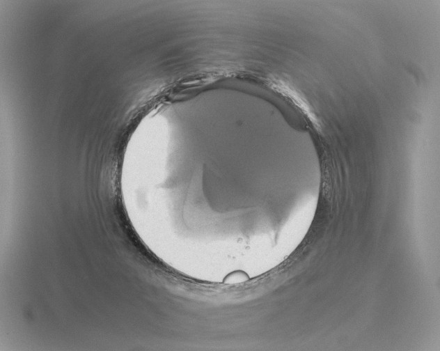 X0000115370023200912151428