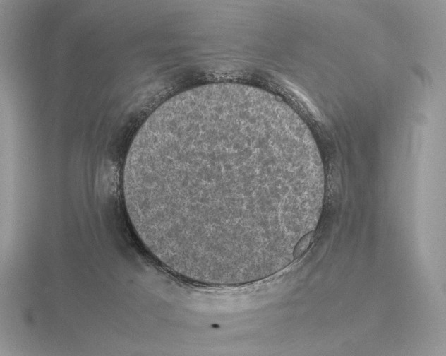 X0000115370025200912151428