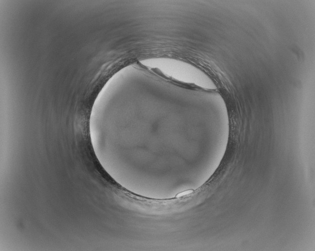 X0000115370035200912151428