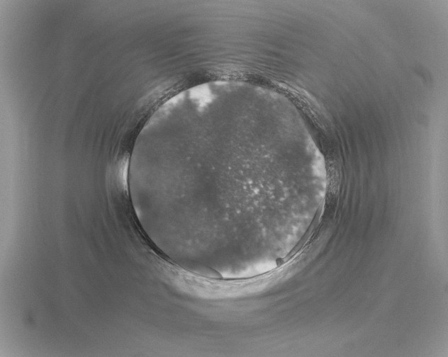 X0000115370047200912151428